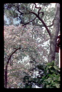 Slide001.jpg